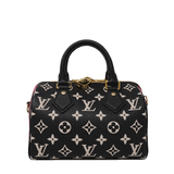 LOUIS VUITTON Speedy 20 Bag