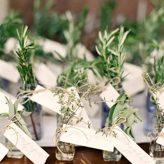 Guided by Green; an Approach to Making Bridal-wear More Sustainable