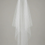 Polka Dot Veil