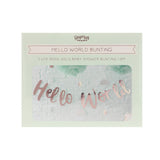 Hello World Rose Gold Baby Shower Bunting