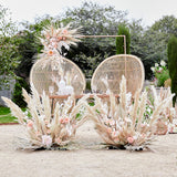 Natural Pampas Grass Decorations