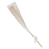Bleached Pampas Grass Decorations