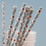 Paper Straws - Patchwork Owl