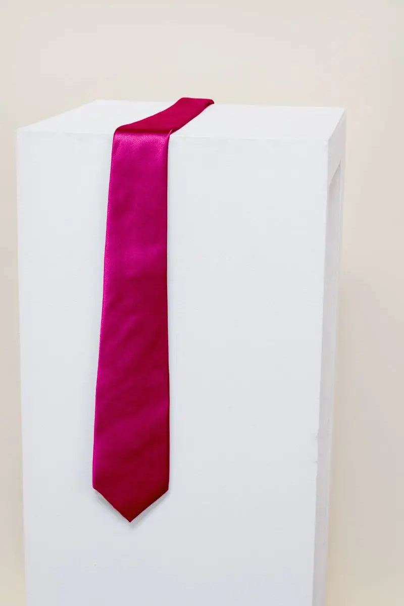 Men Satin ties