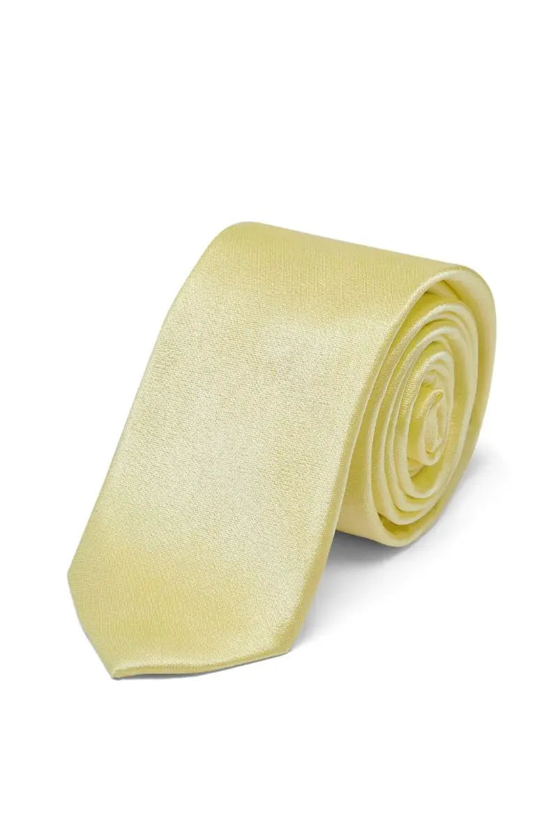 Men Satin ties