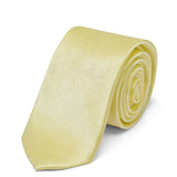 Men Satin ties