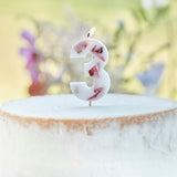 Pressed Petal Number 3 Birthday Cake Candle- 5 Inner Pack