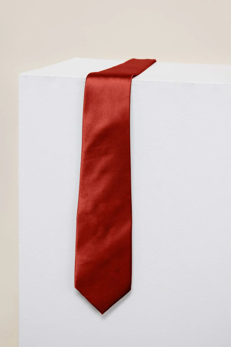 REWRITTEN Men Satin ties