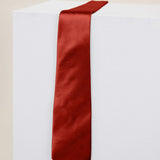 REWRITTEN Men Satin ties