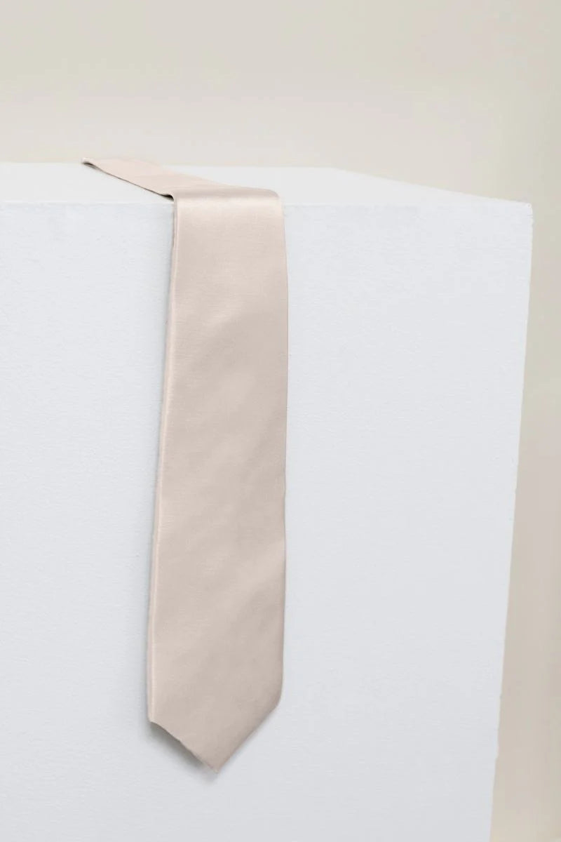 REWRITTEN Men Satin ties