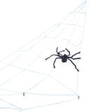 Giant Halloween Spider Web Decoration with Large Spider
