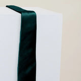 REWRITTEN Men Satin ties