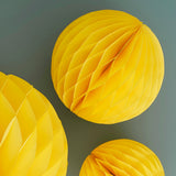 Honeycomb Paper Decorations