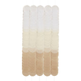 Neutral Ombre Tissue Paper Disc Party Backdrop- 5 Inner Pack