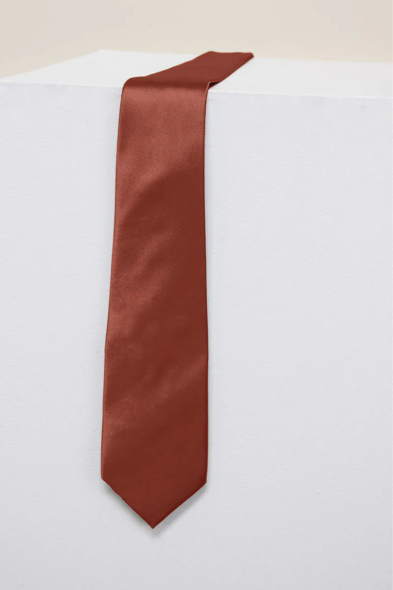REWRITTEN Men Satin ties